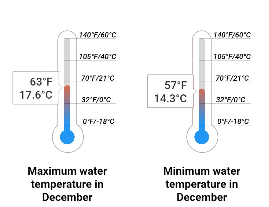 Average Sea temperature
